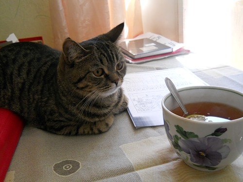 Лиля Булатова | Уфа