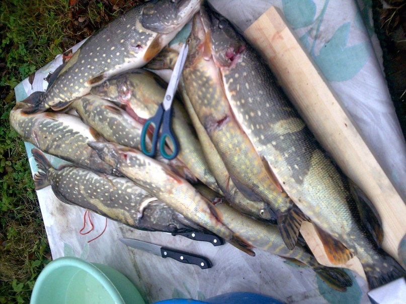 Антон Хмелевский (ЮРИЧ) | Дружная Горка