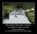 Фотография Анюта Иванова