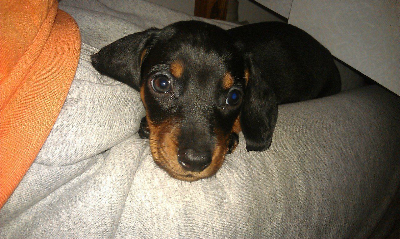 Лена Малявская | Николаев