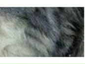 Юлия Экзархо | Мариуполь