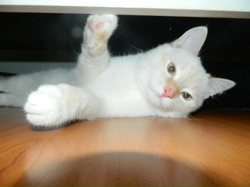 Яна Голошова Sunny | Челябинск