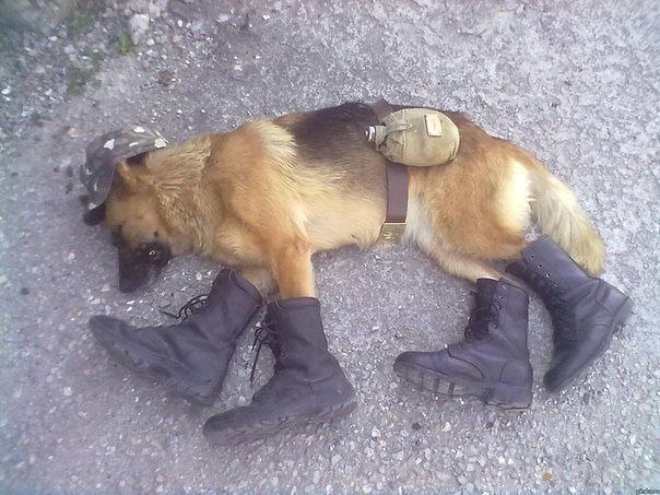 Александр Иванов | Волжский