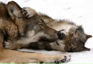 №20, Яночка Лаца, 11.3.1987, 39 лет, Омск, Россия