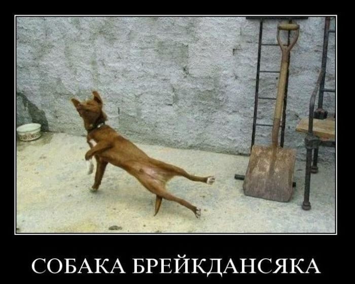 №171, Александр Хасанов, Москва №171, Александр Хасанов, Москва