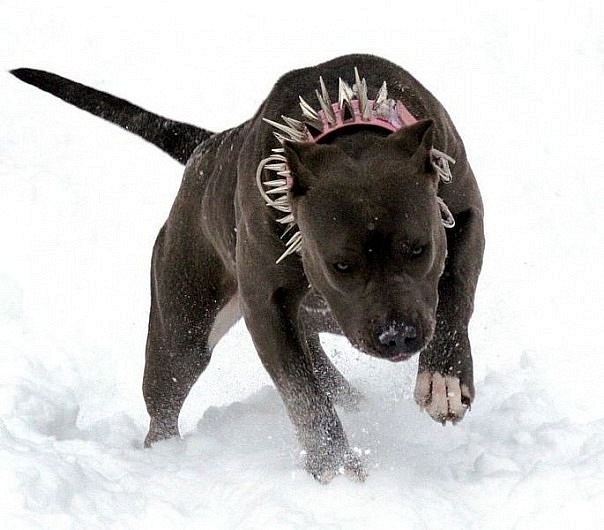 №136, Коля Кабан, 37 лет, Одесса №136, Коля Кабан, 37 лет, Одесса