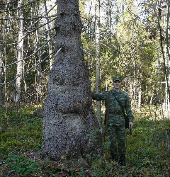 №69, Дмитрий Зубрицкий, Королёв №69, Дмитрий Зубрицкий, Королёв