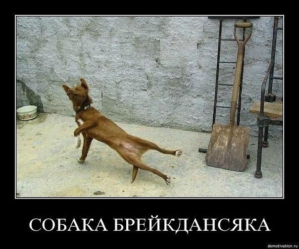 №17, Виталик Шкуренко, 35 лет, Днепр (Днепропетровск) №17, Виталик Шкуренко, 35 лет, Днепр (Днепропетровск)