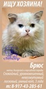 Алина Якупова, 39 лет, Уфа, Россия, 06.05.1986