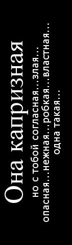 №4, Лилия Шайхулова №4, Лилия Шайхулова