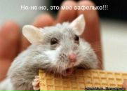 №23 Анастасия Карлова : профиль, фото, статус - ВКонтакте