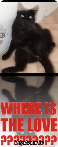 №72, Станислав Козлов, 39 лет, Нижний Новгород №72, Станислав Козлов, 39 лет, Нижний Новгород