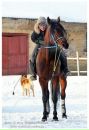 №3 Анна Смурова 11.01.1989: профиль, фото, статус - ВКонтакте