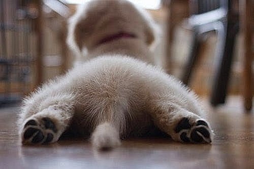 №39, Наташа Полинова, 31 год, Екатеринбург №39, Наташа Полинова, 31 год, Екатеринбург