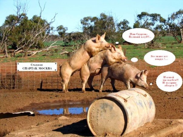 №34, Беннито Муссолини, Predappio №34, Беннито Муссолини, Predappio