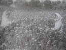 №37 Ольга Игнатьева-Иванова 20.03.1961: профиль, фото, статус - ВКонтакте