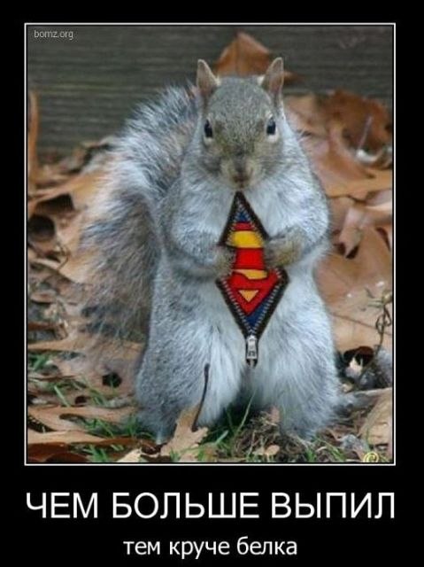 Александр Смирнов | Санкт-Петербург