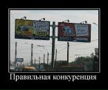 №40 Кристина Олегович : профиль, фото, статус - ВКонтакте