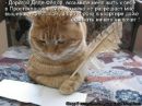 №39 Светлана Конон 08.10: профиль, фото, статус - ВКонтакте
