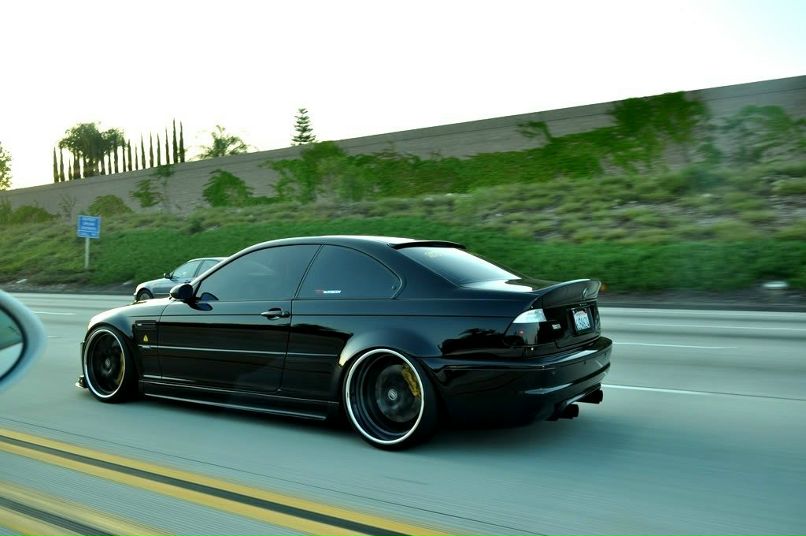 Максим Шишаев | Курган