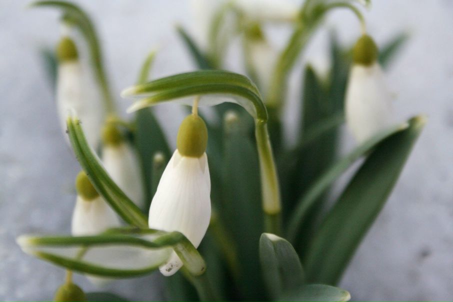 №86, Светлана Васева, 41 год, Киев №86, Светлана Васева, 41 год, Киев