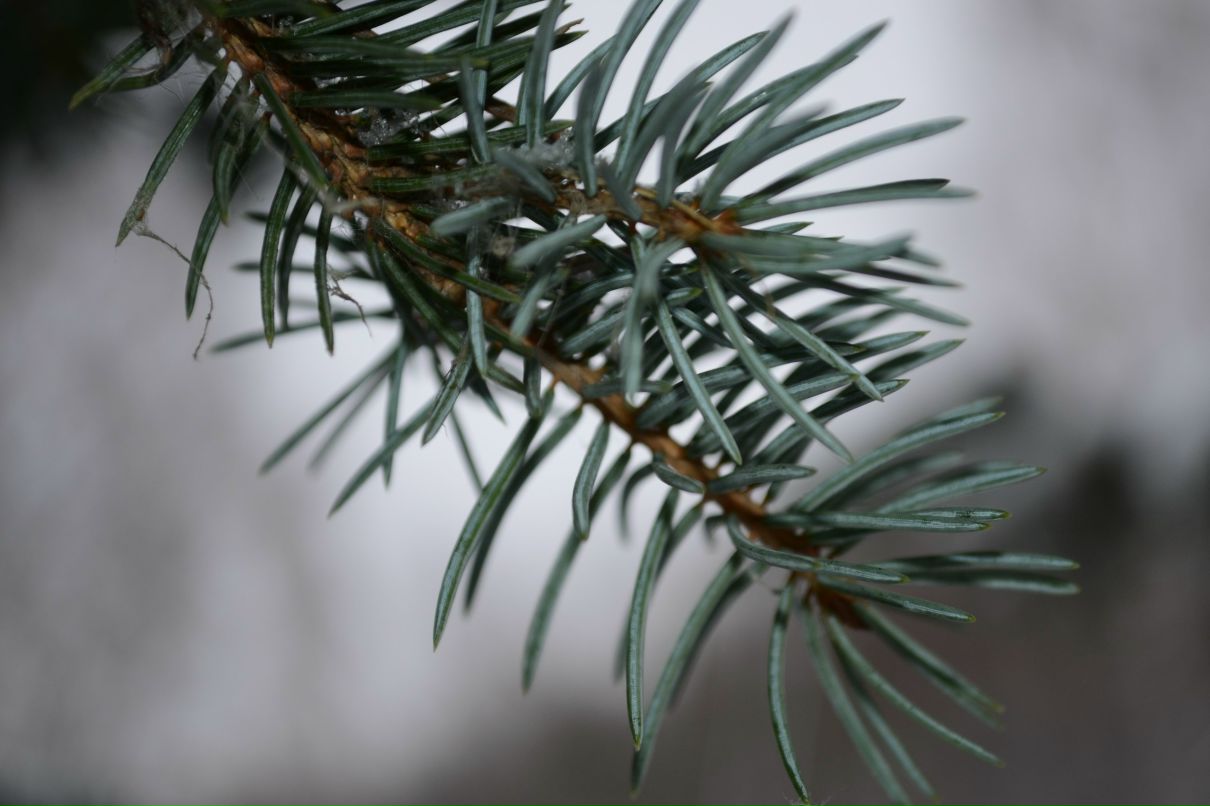 Анастасия Белокурова | Москва