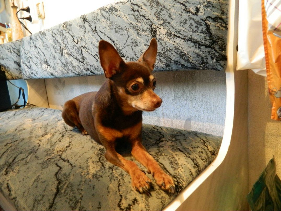 Татьяна Иденова | 