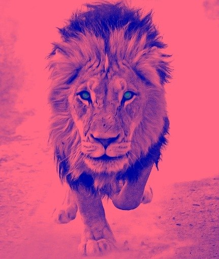 Алексей Ильин MelloW | Чебоксары