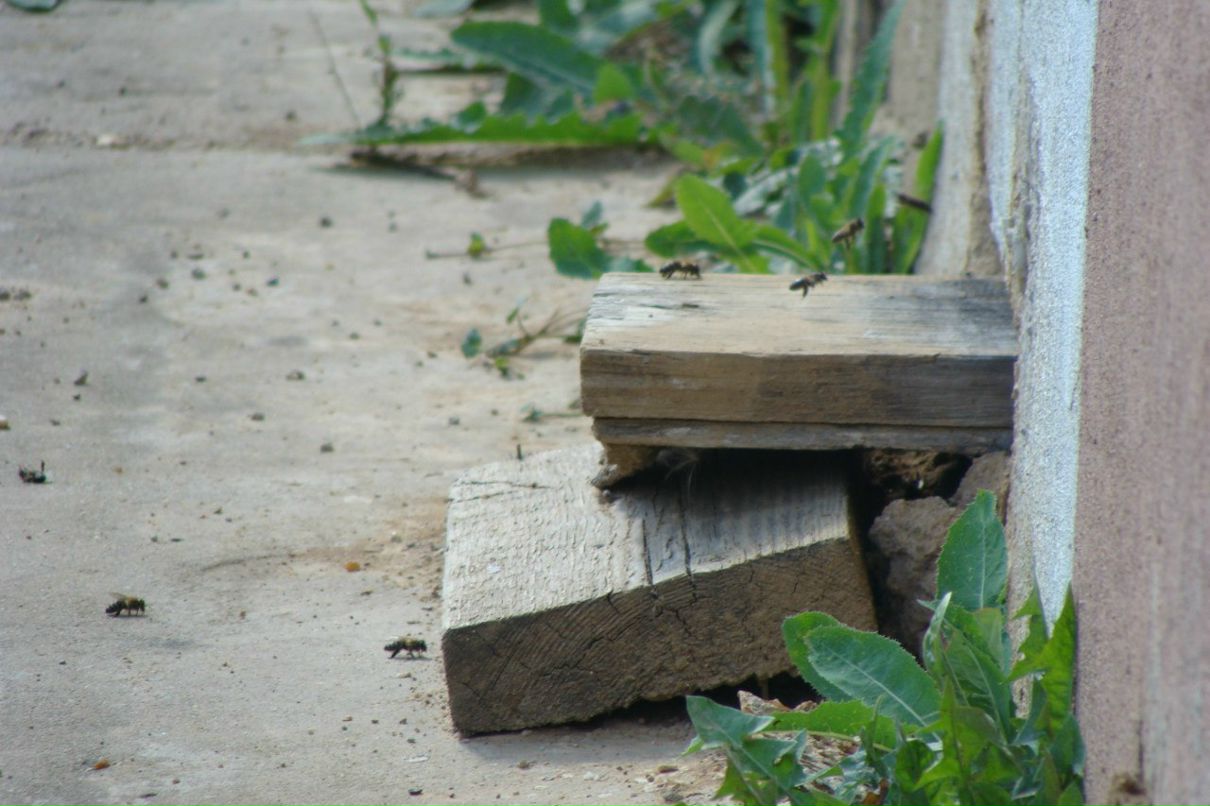 Наталья Меркулова | 