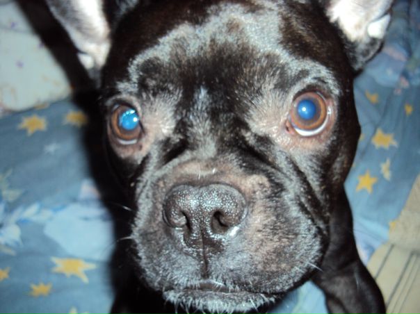 №113, Саша Винчо, 01.08, Гродно №113, Саша Винчо, 01.08, Гродно