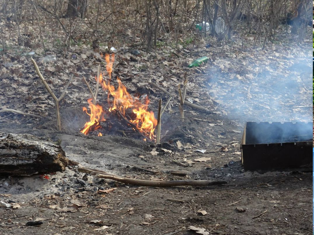 Рома Бабёр -Bratt- | Киев