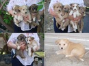 Оксана П, Казань, Россия, 