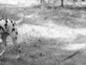 Анастасия Каратуева | Улан-Удэ