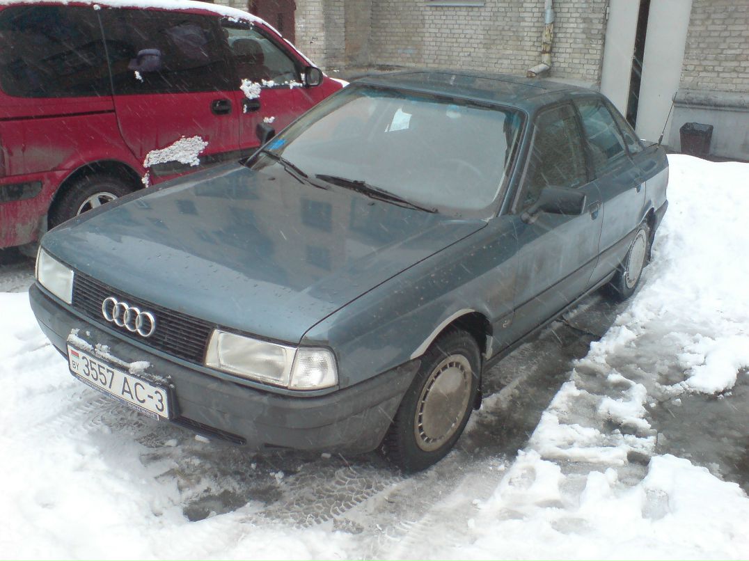 Кирилл Тельной | Гомель