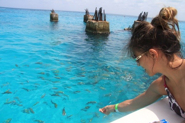 Джамиля Сахибназарова *Jamie* | Казань