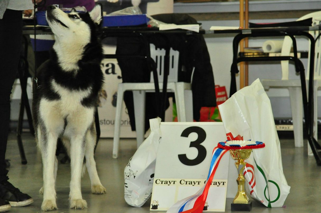 Anyta Lagutkina | Санкт-Петербург