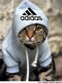 Евгения Свентицкая | Магнитогорск