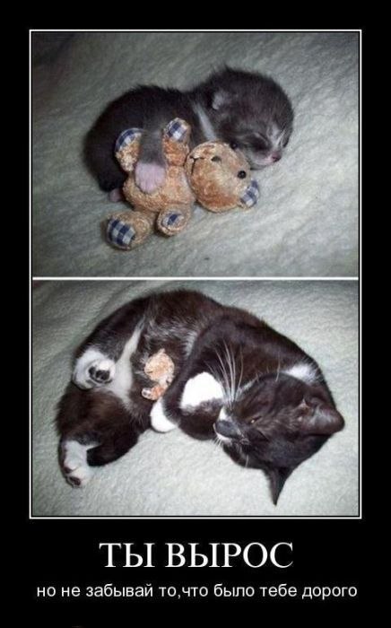 Ирина Куракина | Москва