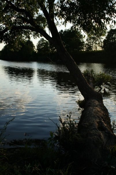 Kolya Черноуцан | Москва