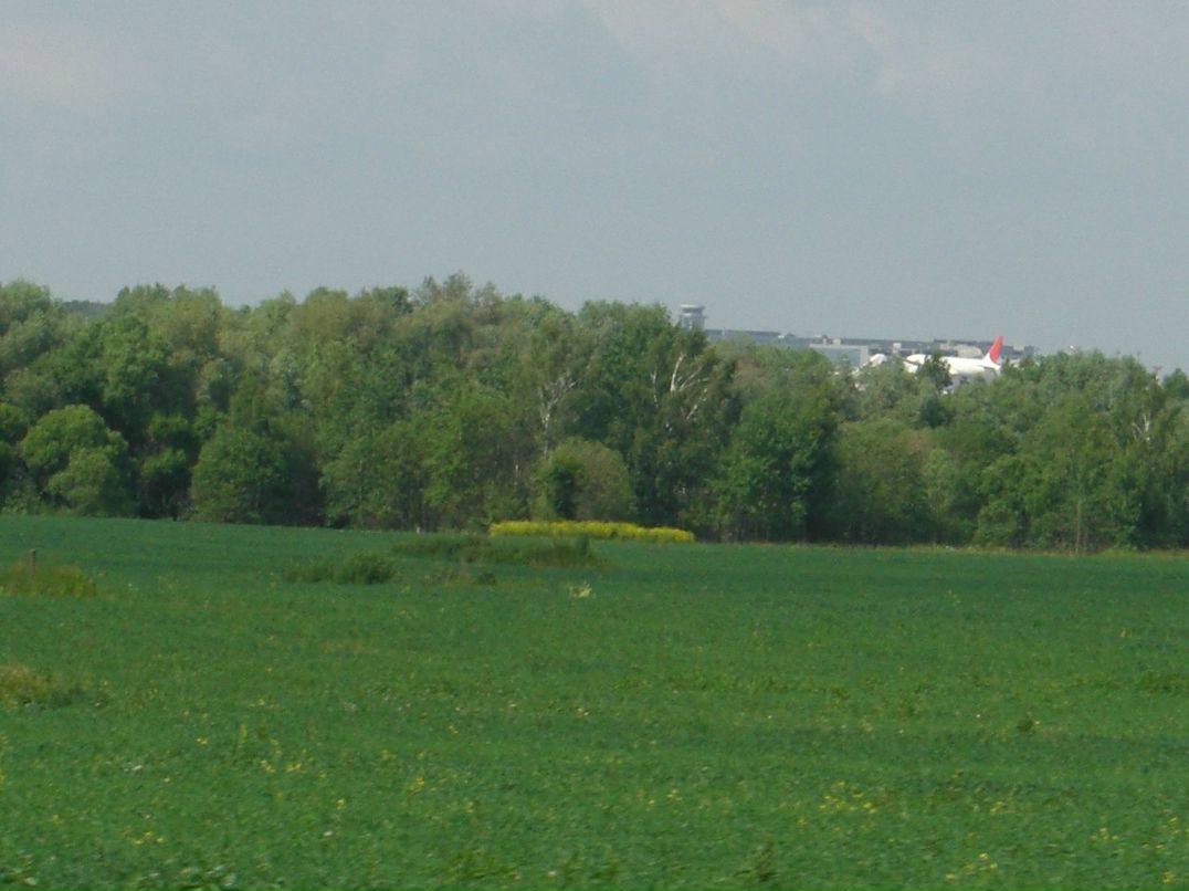 Некто Чейто | Москва