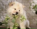 №7 Катя Конопкина 04.12.1998: профиль, фото, статус - ВКонтакте