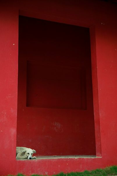 №120, Татьяна Кузкуэта №120, Татьяна Кузкуэта