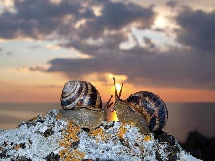 Ярослав Улитин | Тюмень