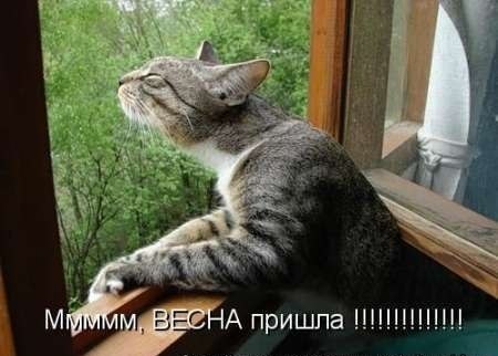 Олюня Подлюк | Киев