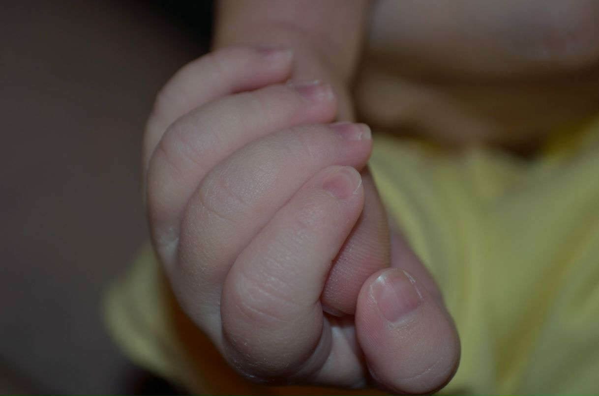 Марина Сингаевская | Минск