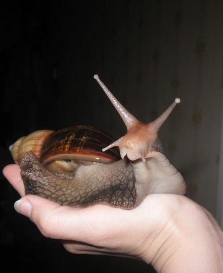 №5, Анна Баранова, Пущино №5, Анна Баранова, Пущино