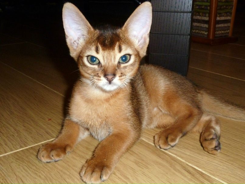 Людмила Побожая | Санкт-Петербург