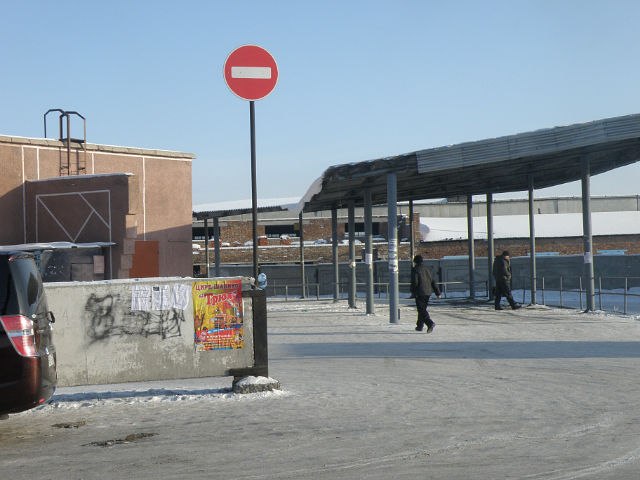 Злата Марьева ☼RoXy☼ | Киев