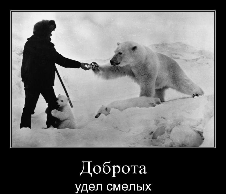 Юлия Алексеева | 