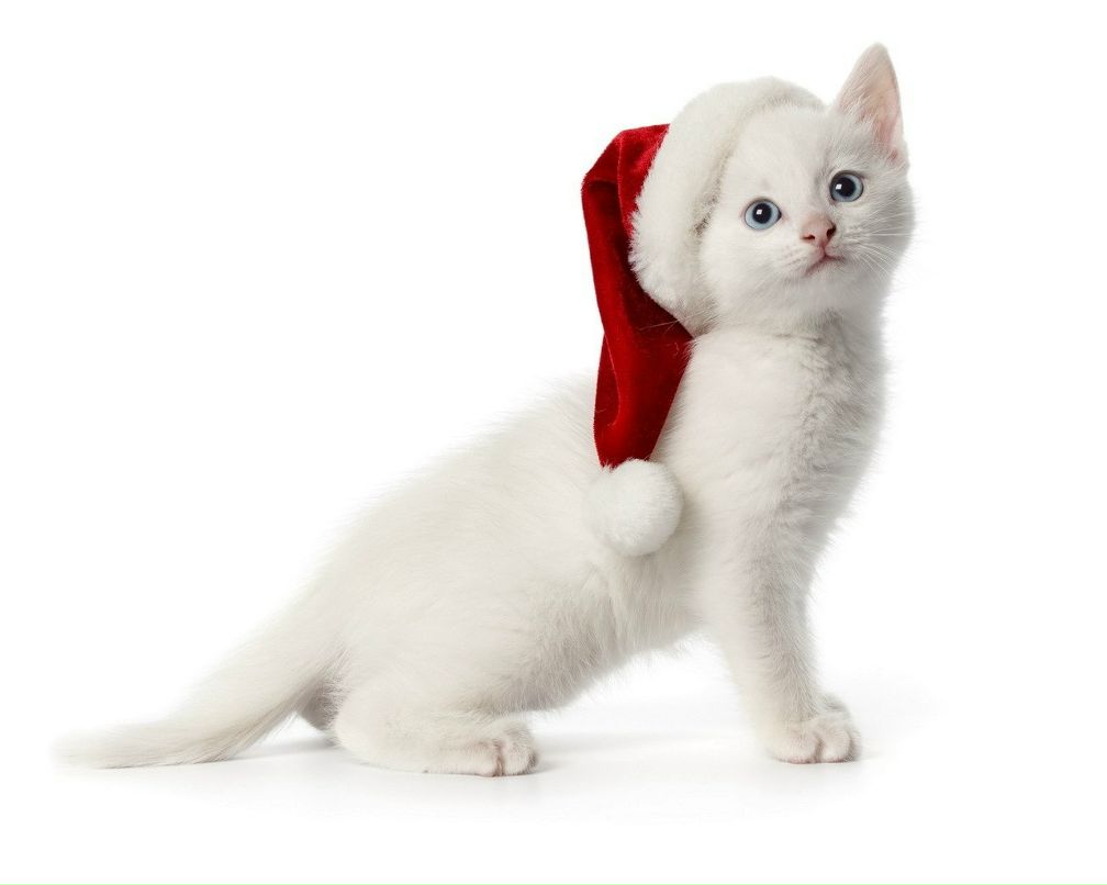 Дима Скалинский | Москва